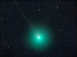 Muriel – 2 La dubbia identità della cometa di Halley